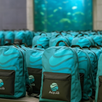 Sac à dos polyester recyclé 230g