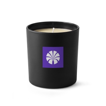 Bougie végétale 90g (20H)