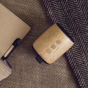 Enceinte BT 4.0 bois