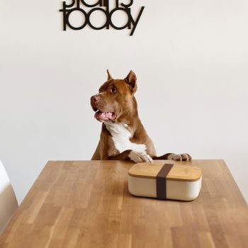 Boîte repas 1000ml BOXYP