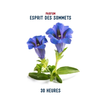 BOUGIE verre 140g (30H)