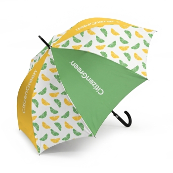 Parapluie de ville