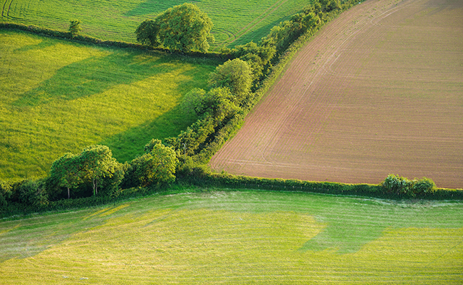 Compensation de l'entreprise