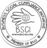 BSCI