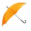 CGP1435 - SING'IN - Parapluie mini-golf tempête